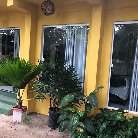 Pousada Cruzeiro Do Sul Hotel São Miguel do Gostoso Kültér fotó